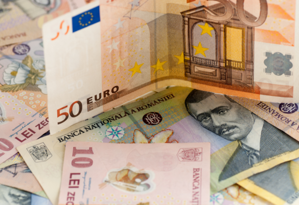 Doi membri din board-ul BNR despre trecerea la euro: am cumpărat tehnologia să tipărim bancnotele, dar nu asta e problema